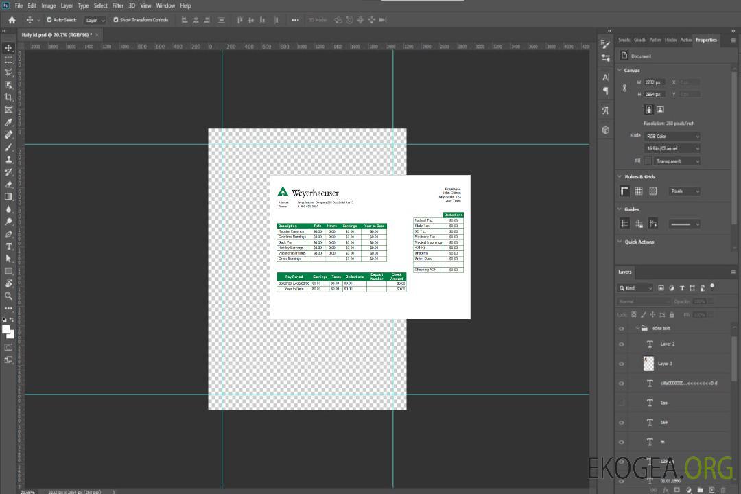Fiche d'employé d'une entreprise forestière et papetière américaine template Fiche d'employé d'une entreprise forestière et papetière américaine template
